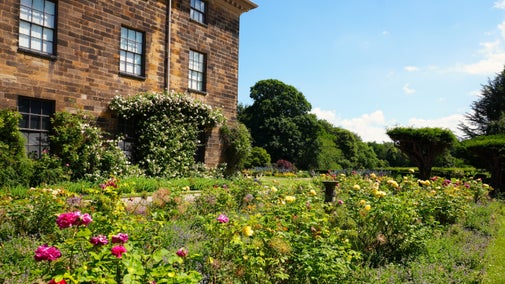 Colourful roses in the borders in front of Ormesby Hall